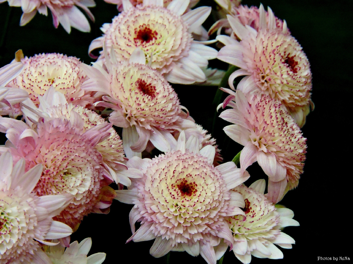 Different and beautiful