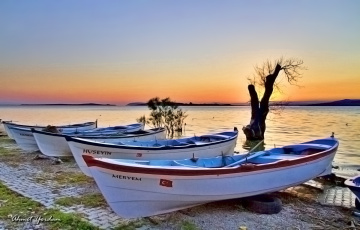 Gölyazı; Bursa