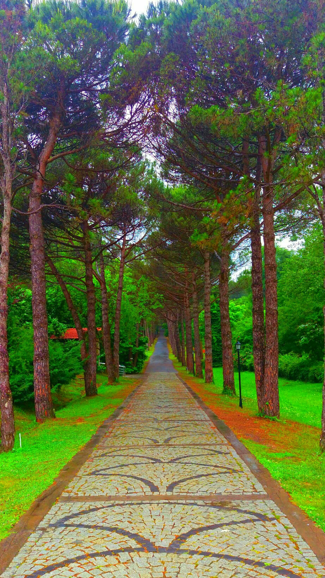 Yol Var Gidersen 