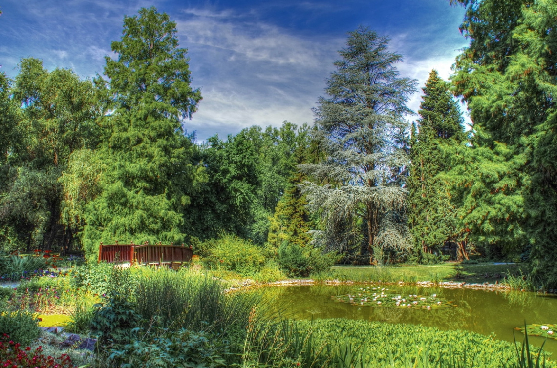 Arboretum