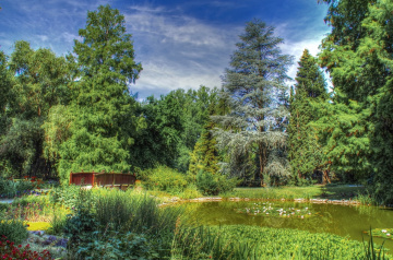 Arboretum