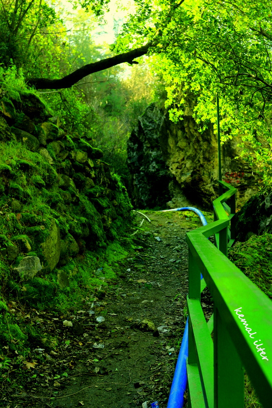 Yeşil yol