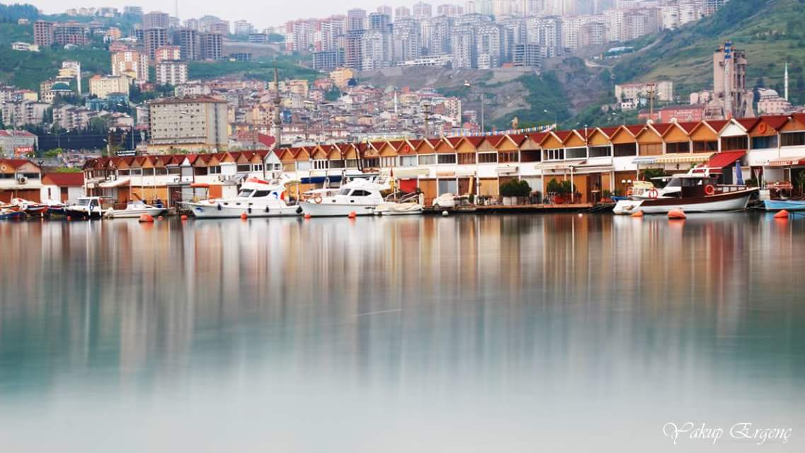 BALIKÇI BARINAKLARI