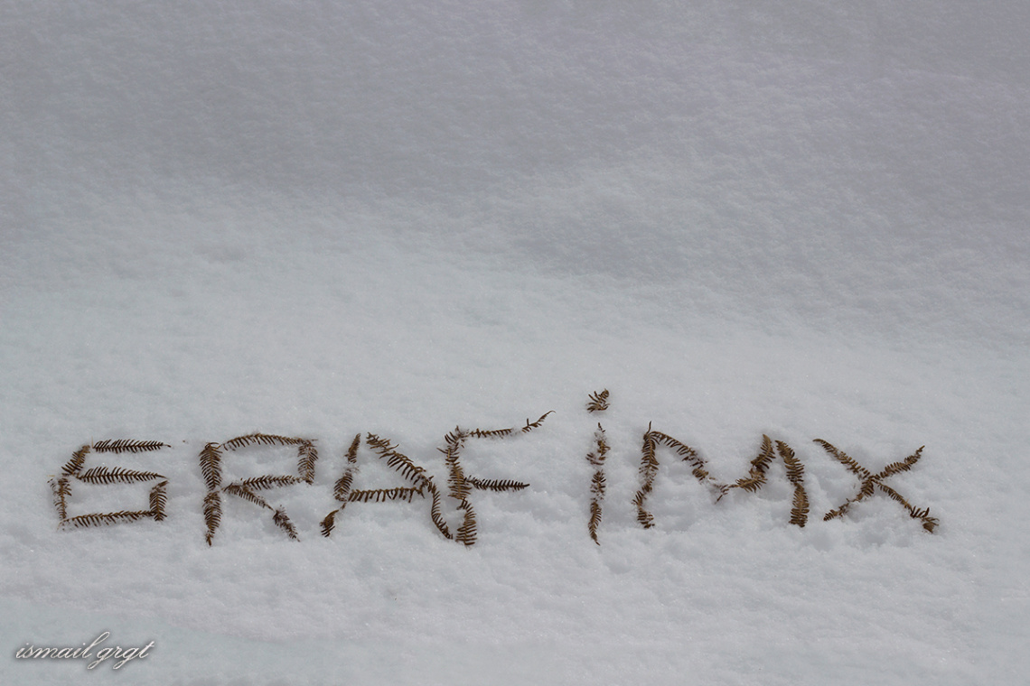 Kar ve GRAFİMX