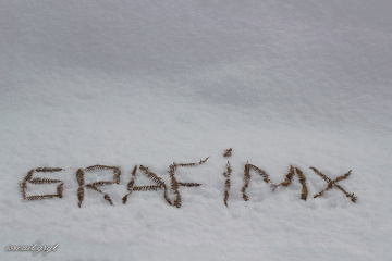 Kar ve GRAFİMX