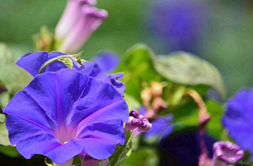Relax in blue