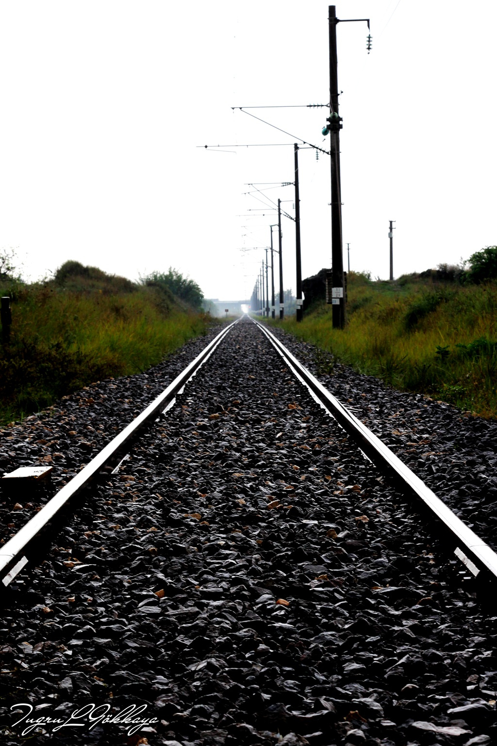 Islak Tren Rayları
