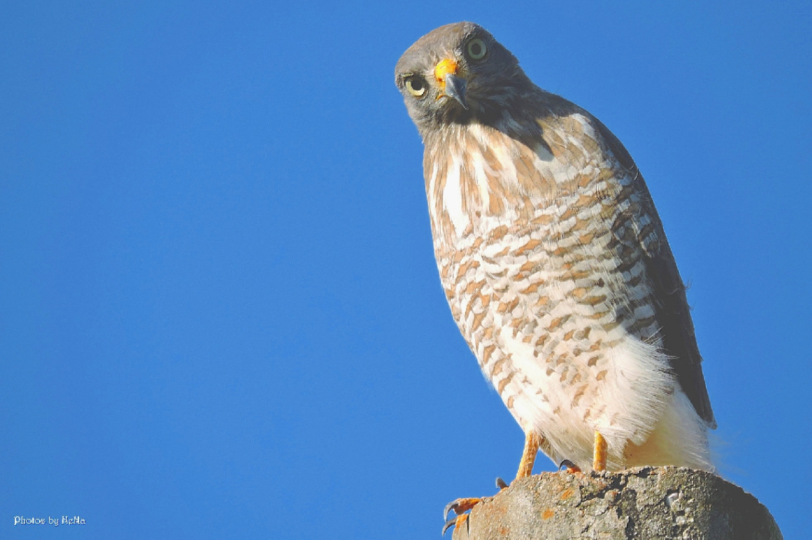 Looking at me