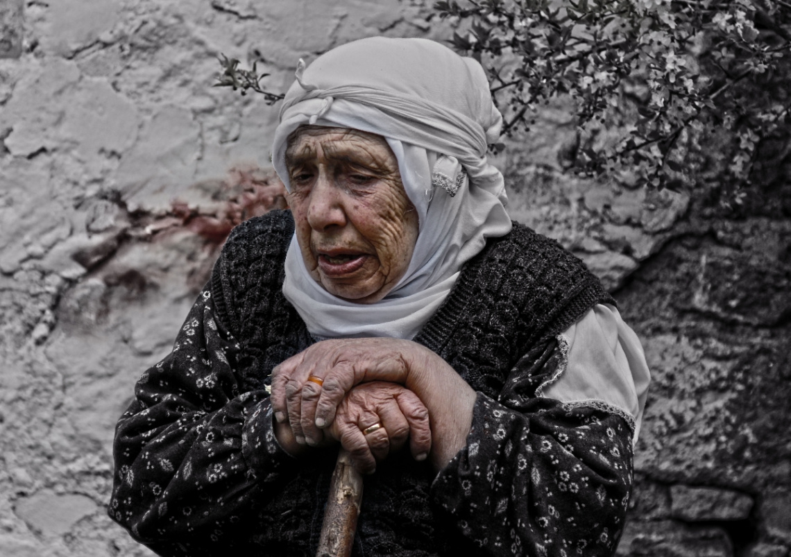 Hayat Çizgileri