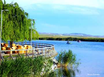 Mogan Gölü