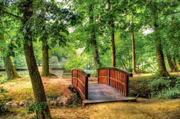 Wooden bridge over the creek