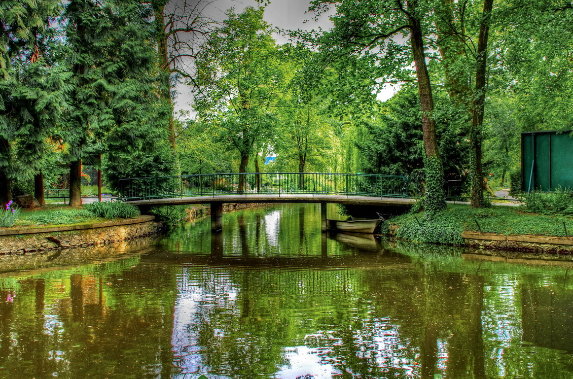 In Botanical Garden