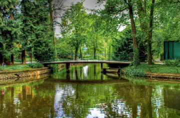 In Botanical Garden