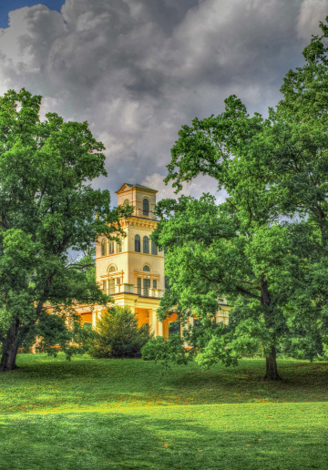 Forest castle