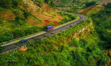 My trip