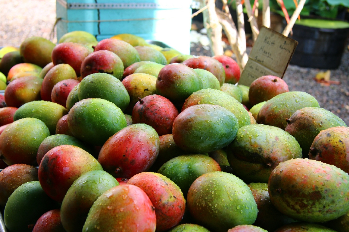 Mango