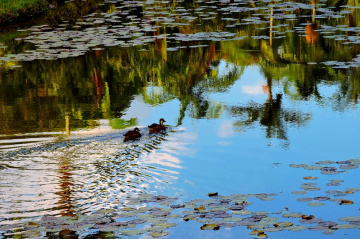 Slinding in the reflection