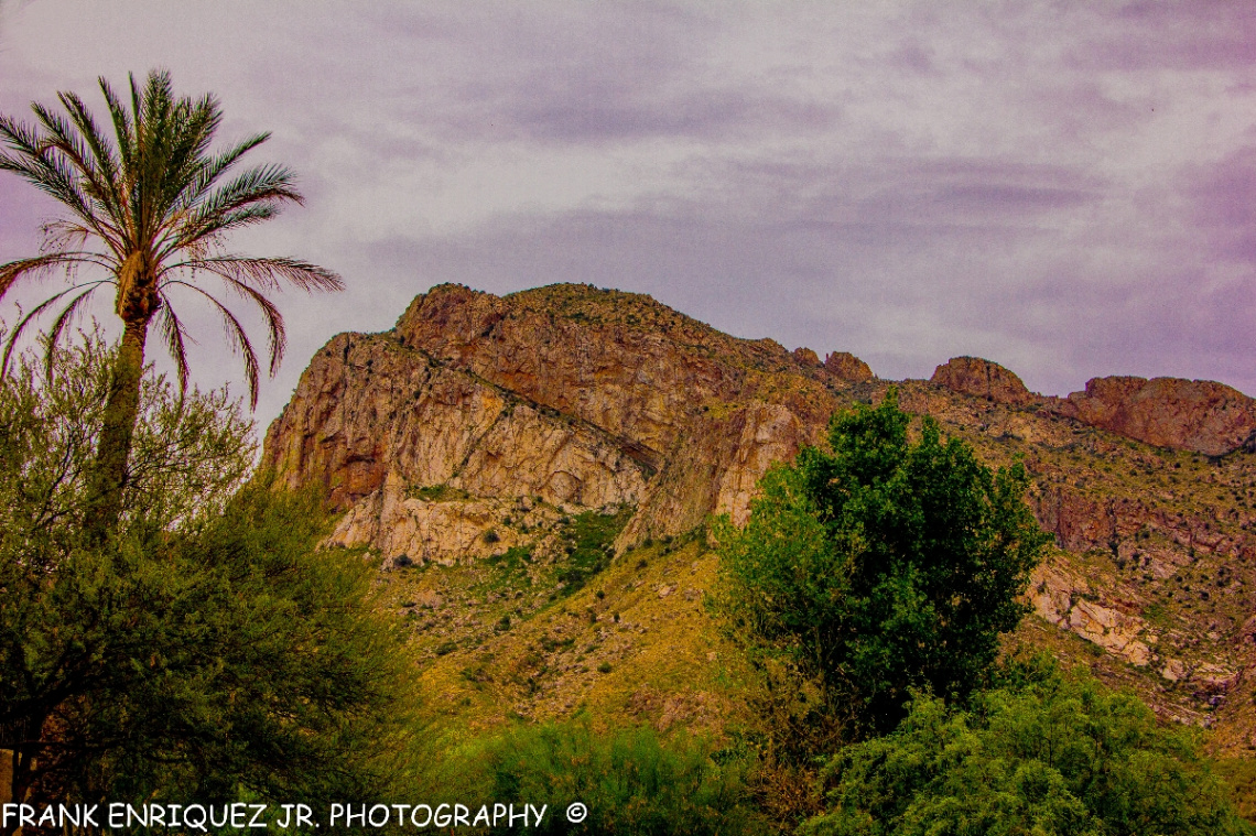 Pusch Ridge In Tucson Arizona 