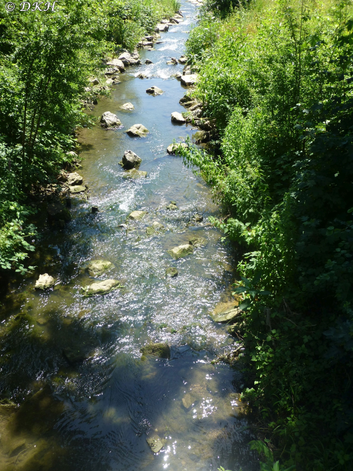 Die stille Enz