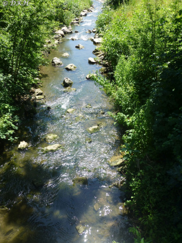 Die stille Enz