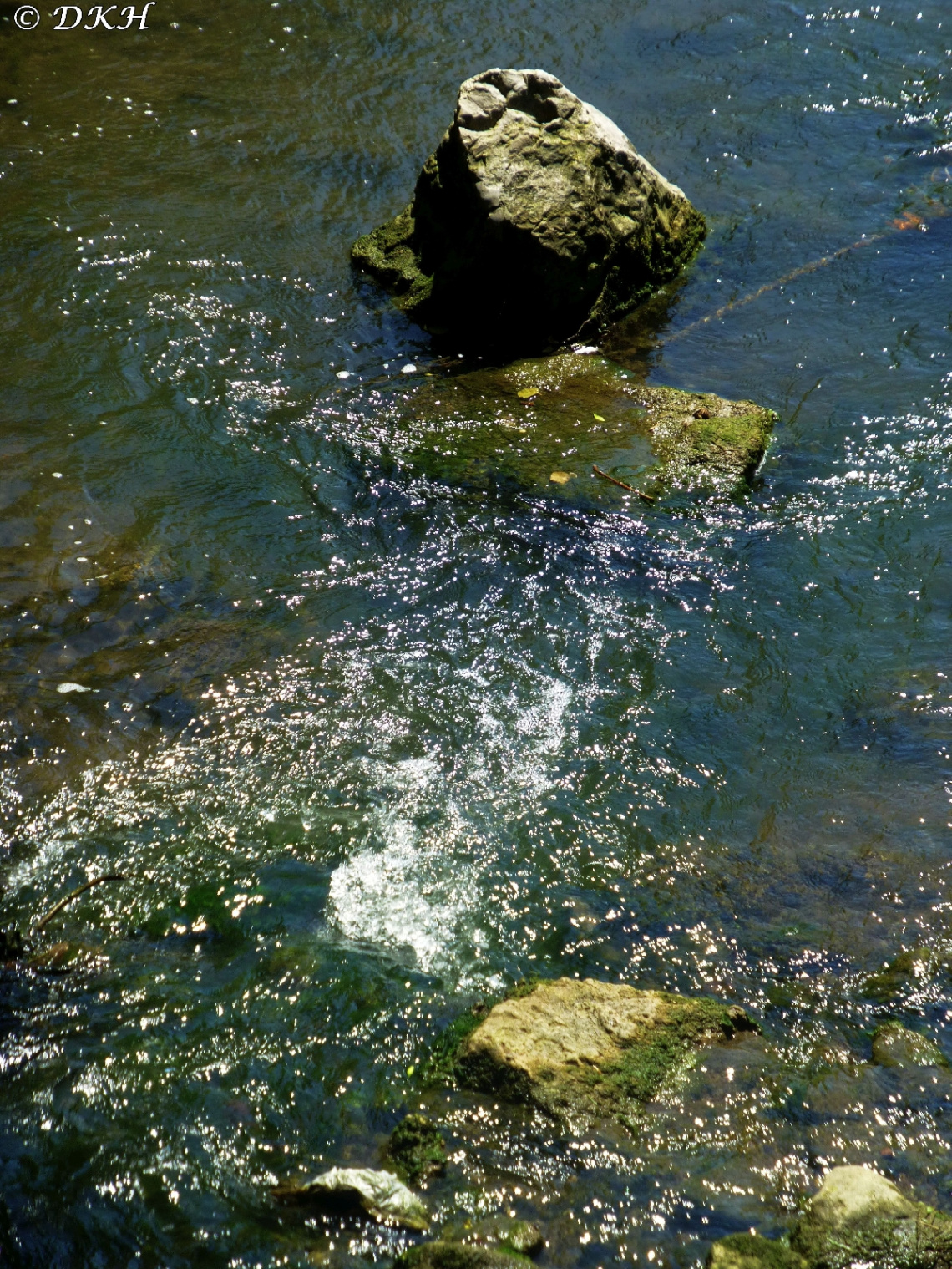 Die stille Enz (Detail)