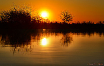 Over the lake...