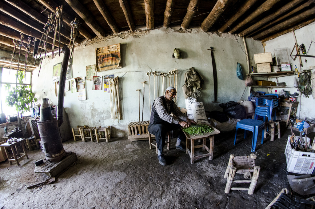 Bastoncu Dede