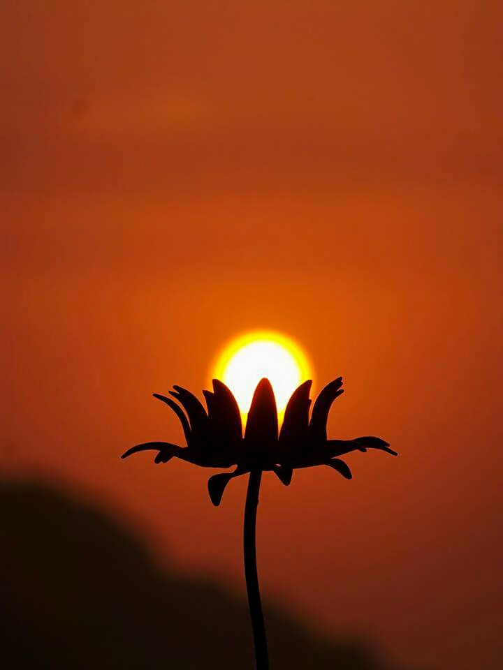 The Sun: Frozen in Time 