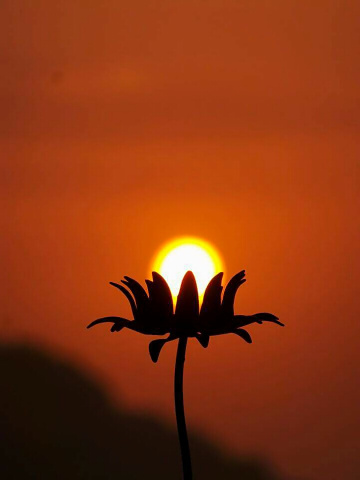 The Sun: Frozen in Time 