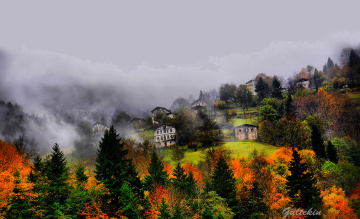 KARADENİZDEN