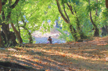 Yeşil Cazibe - Bostandere