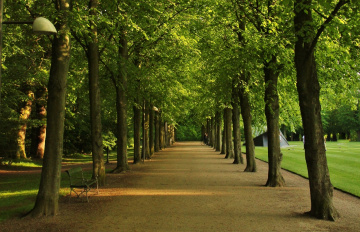 In the park