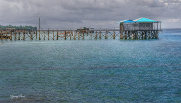 Ocean House