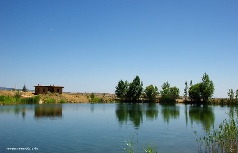 green lake
