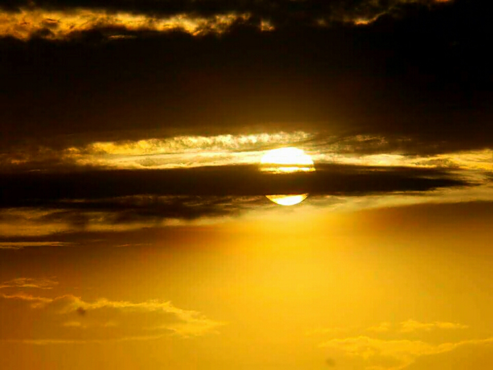 Devine Beauty 