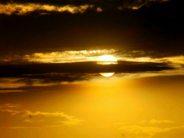 Devine Beauty 