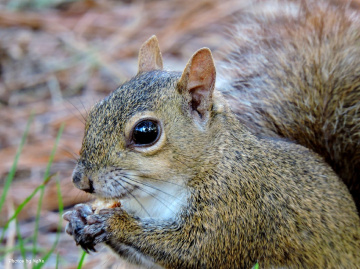 Snack break 