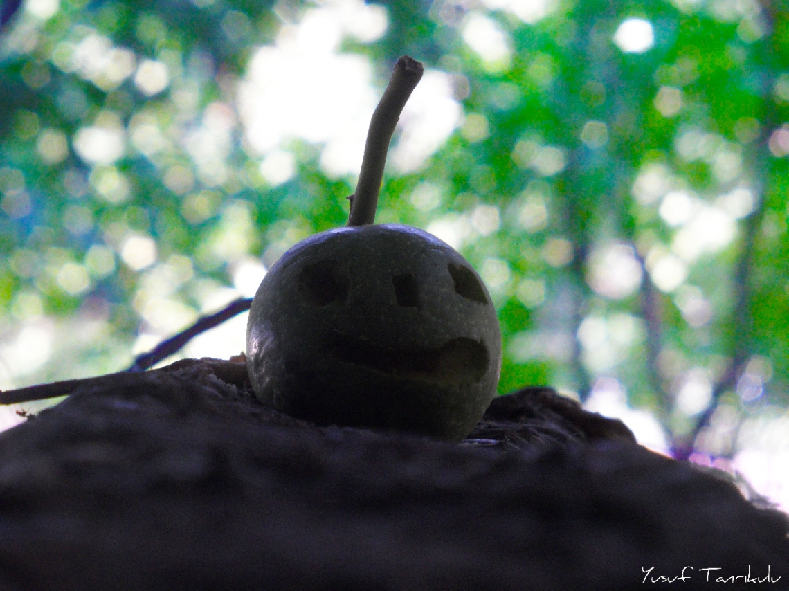 Monster :)