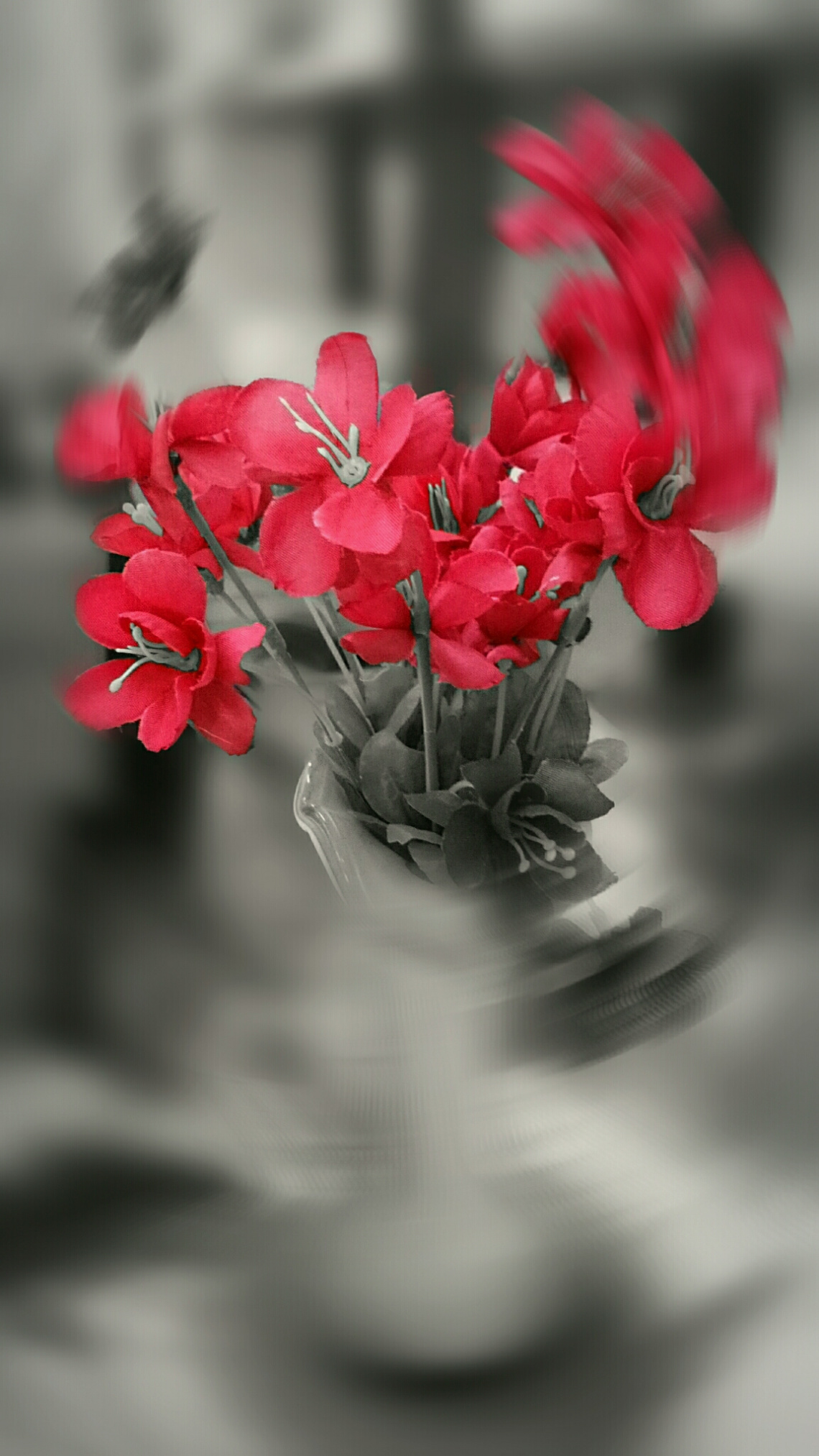 Forgotten Dream 