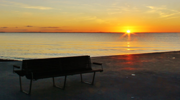 A seat in the sun