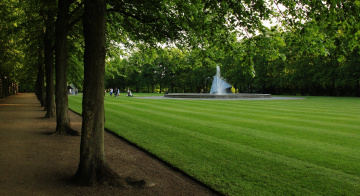 A break in the park