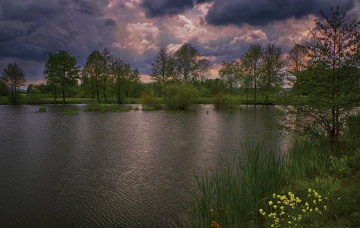 Lake after rain