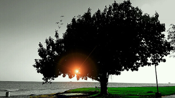 A blissful evening 