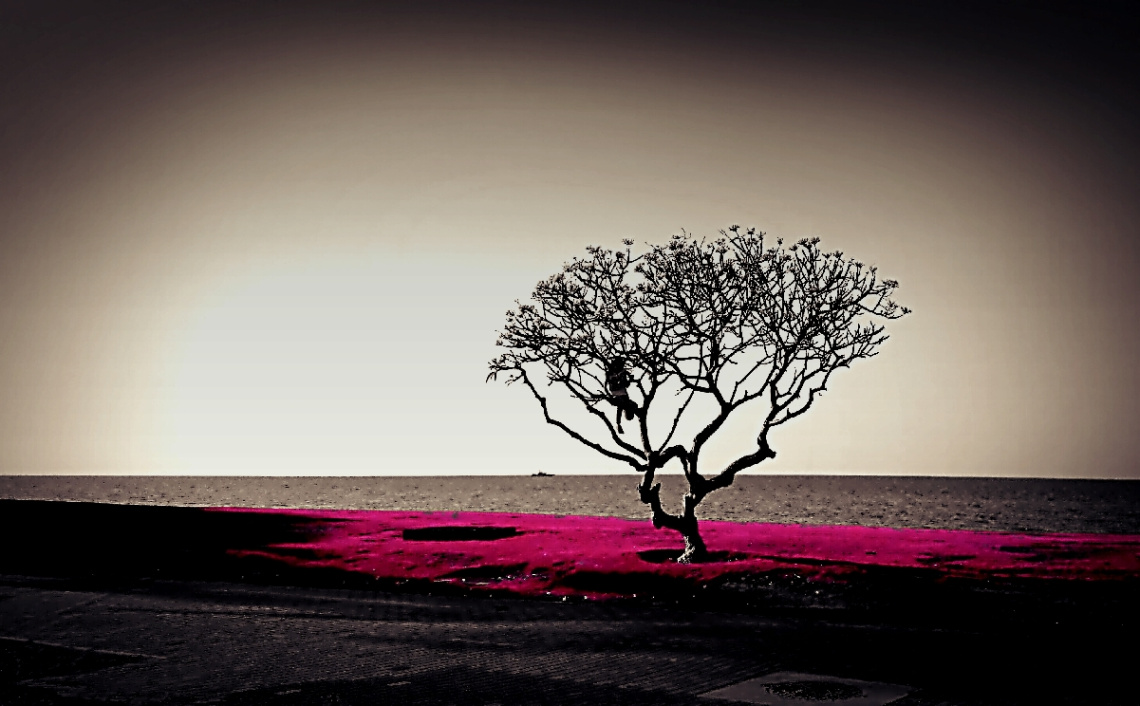 Tree II 