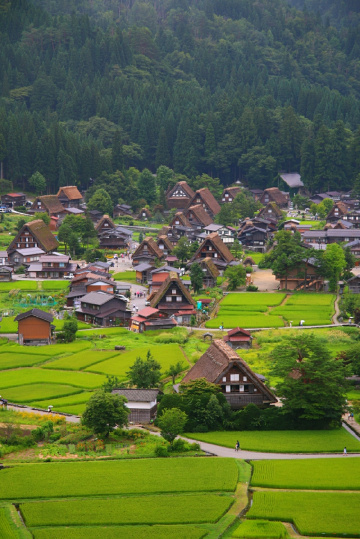 Shirakawago