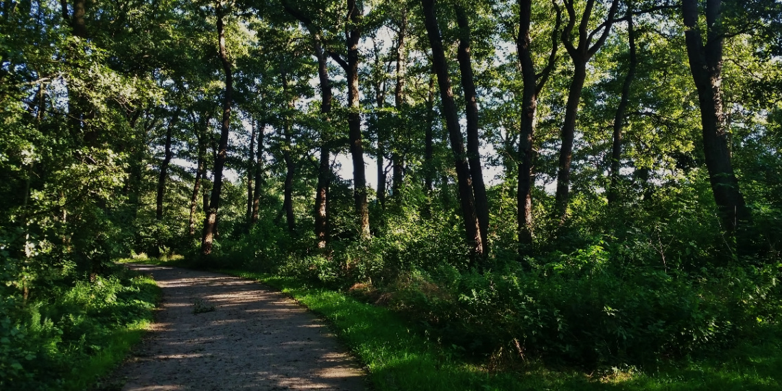 The path around the lake...