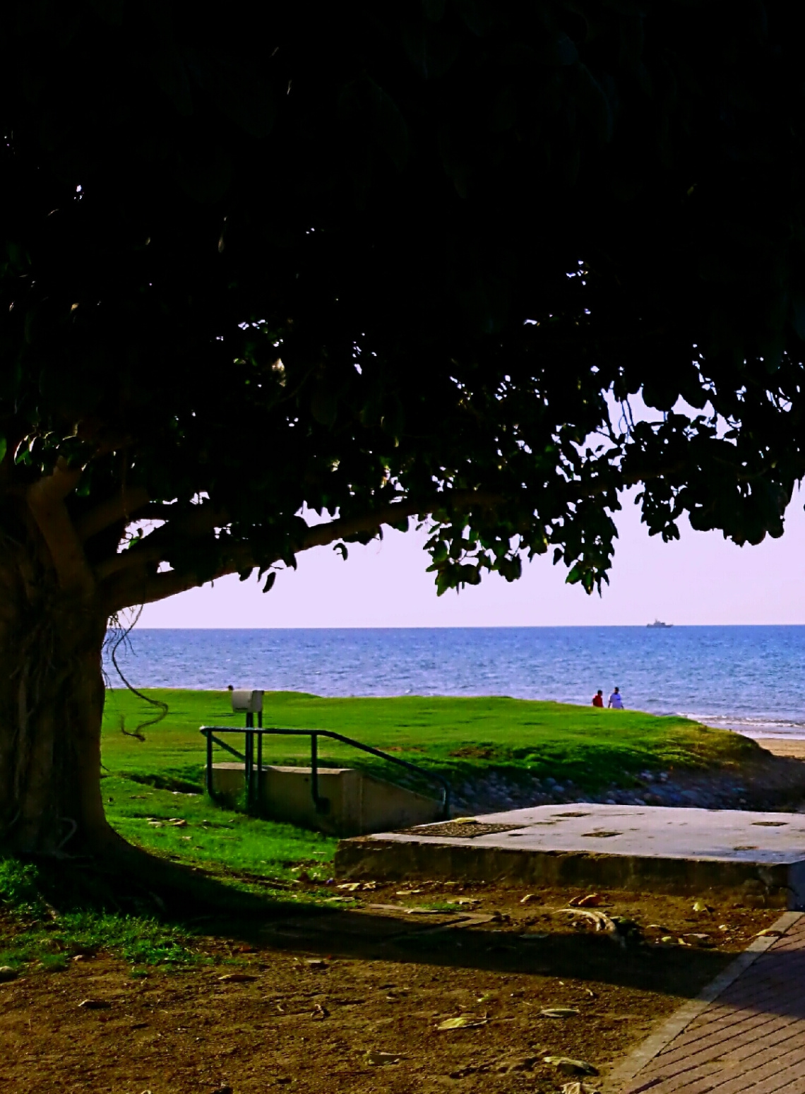 Evening at the shore 