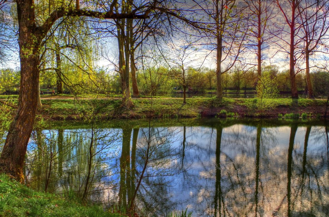 Lake,  on spring time