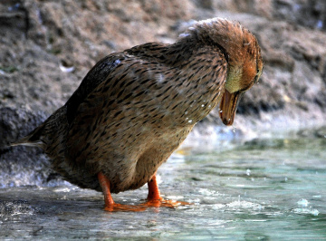 take a bath.. 