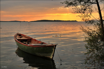 Yine yeniden Gölyazı ...